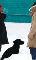 Крещенские морозы 2013 года Крещенские морозы 2013 года