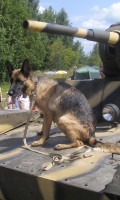 Военный фестиваль «ПОЛЕ БОЯ» 2013г Военный фестиваль «ПОЛЕ БОЯ» 2013г